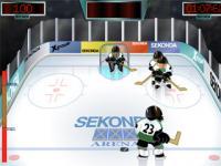 Tir au hockey