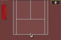 Le grand match de tennis