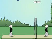 Volleyball jeeves